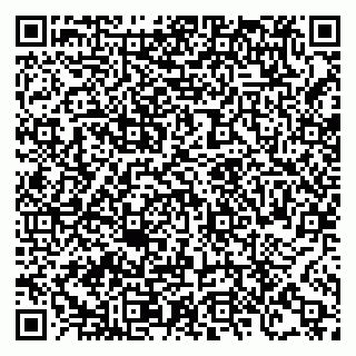 vCard 78124481873