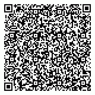 vCard 78124483379