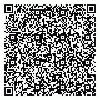 vCard 78124483381