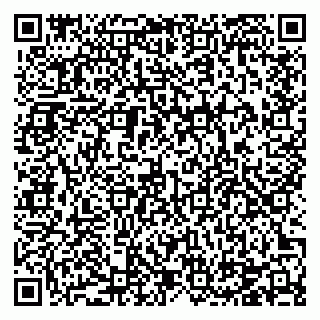 vCard 78124484013
