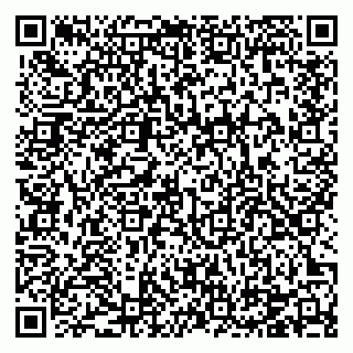 vCard 78124484032
