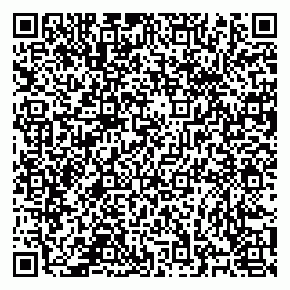 vCard 78124484033