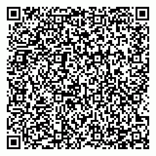 vCard 78124484096