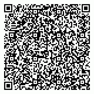 vCard 78124486387
