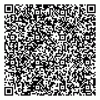 vCard 78124541587