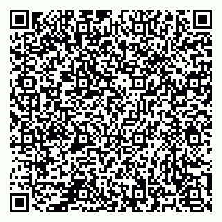 vCard 78124541822