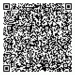 vCard 78124541881