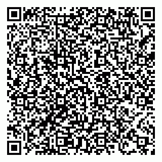vCard 78124552097
