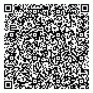 vCard 78124673379