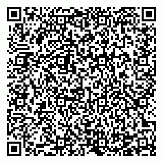 vCard 78124673381