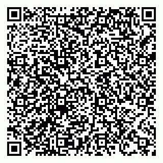 vCard 78124682503