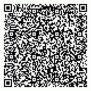 vCard 78124887509