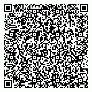 vCard 78124887819