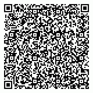 vCard 78124907937
