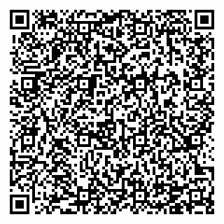 vCard 78124907939
