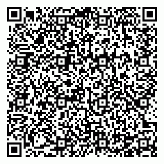 vCard 78124931008