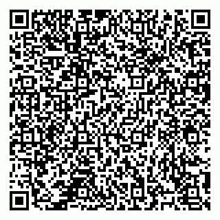 vCard 78124931033