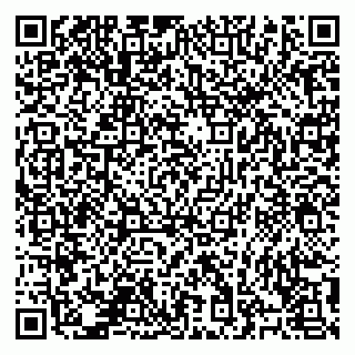 vCard 78124931295