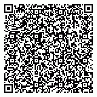 vCard 78124931299