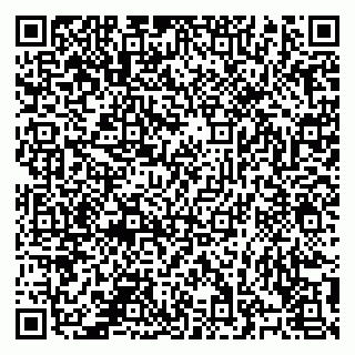 vCard 78124931307
