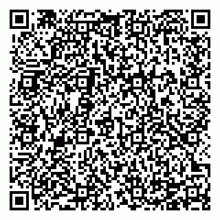 vCard 78124931325