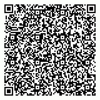 vCard 78124931329