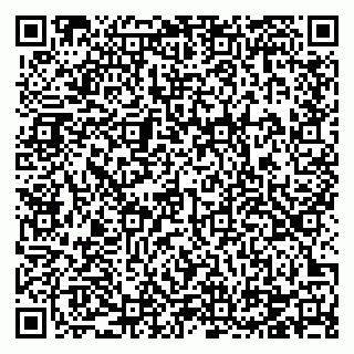 vCard 78124931331