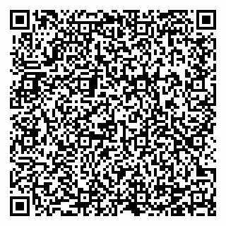 vCard 78124931381