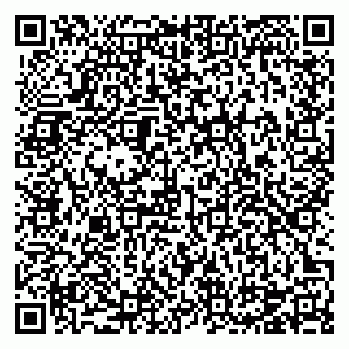 vCard 78124931383
