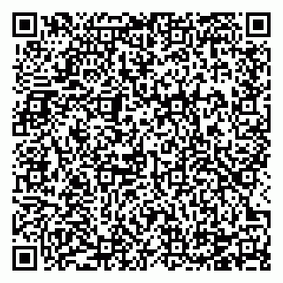 vCard 78124931384