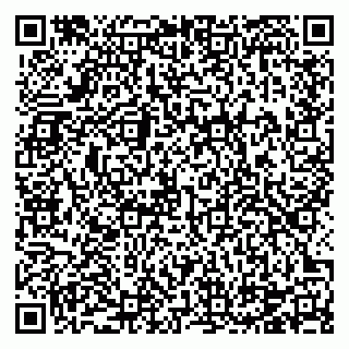 vCard 78124931385