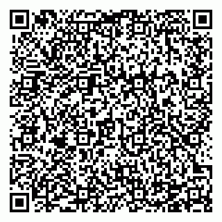 vCard 78124931389