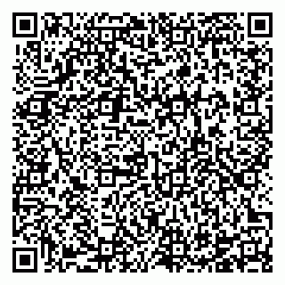 vCard 78124949881