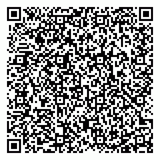 vCard 78125000311