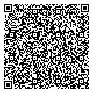 vCard 78125000373