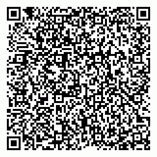 vCard 78125000383