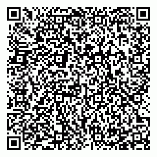 vCard 78125000390