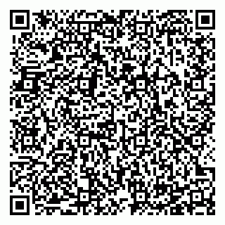 vCard 78125000395