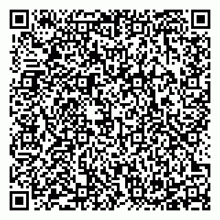 vCard 78125000399