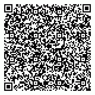 vCard 78125000493