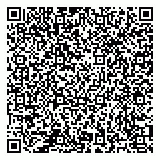 vCard 78125000729