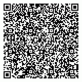 vCard 78125000880