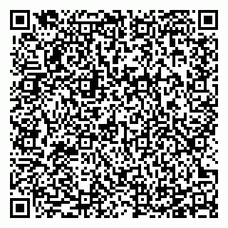 vCard 78125003300
