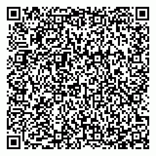 vCard 78125003303