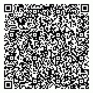 vCard 78125003313