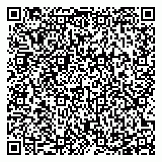 vCard 78125003317