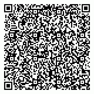 vCard 78125003329