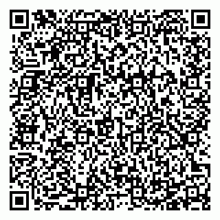 vCard 78125003333