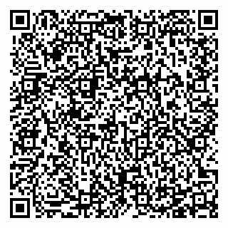 vCard 78125003367