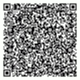 vCard 78125003383